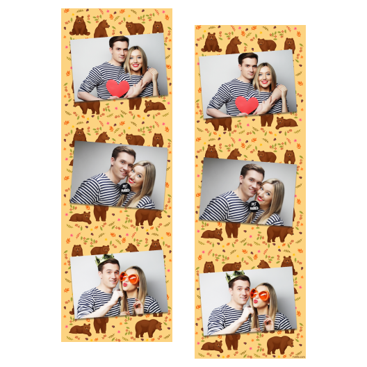 Grizli + niedźwiedzie + 101 brak ramki Grizli + niedźwiedzie + 101 brak ramki