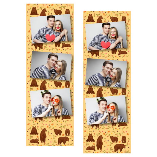 Grizli + niedźwiedzie + 102 brak ramki Grizli + niedźwiedzie + 102 brak ramki