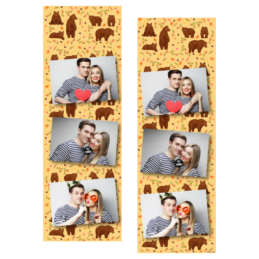 Grizli + niedźwiedzie + 103 brak ramki Grizli + niedźwiedzie + 103 brak ramki