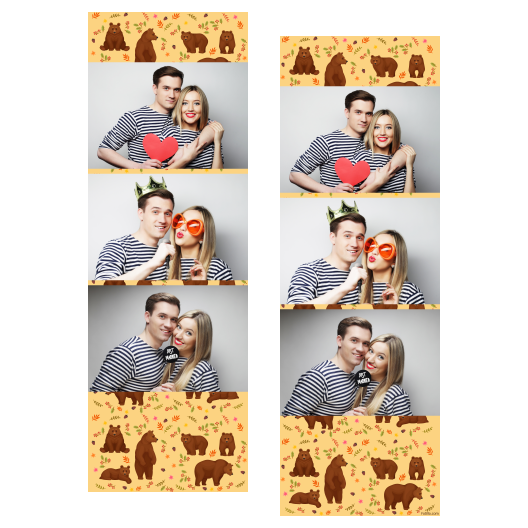 Grizli + niedźwiedzie + 104 brak ramki