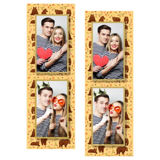 Grizli + niedźwiedzie + 106 złoty Grizli + niedźwiedzie + 106 złoty