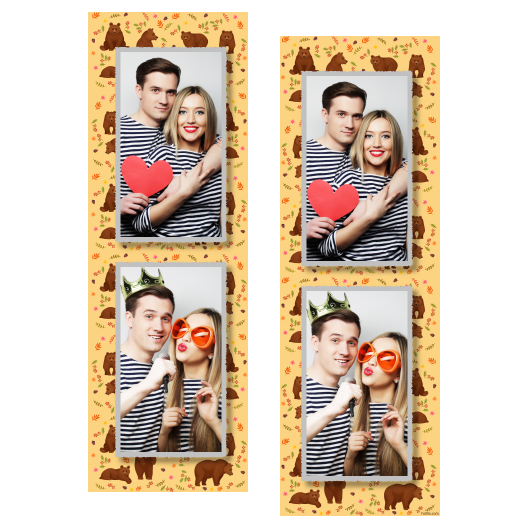 Grizli + niedźwiedzie + 106 Grizli + niedźwiedzie + 106