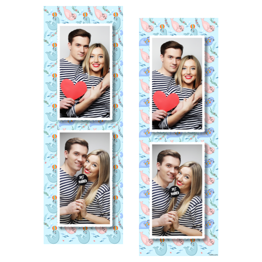 106-2-PP-255-Seal_Day-249