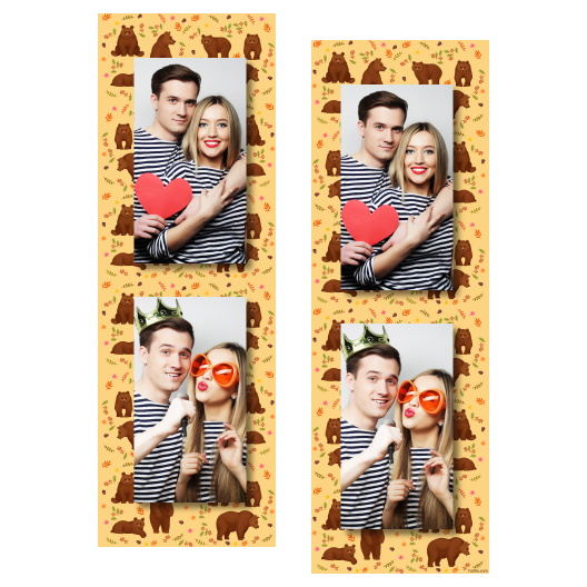 Grizli + niedźwiedzie + 106 brak ramki Grizli + niedźwiedzie + 106 brak ramki