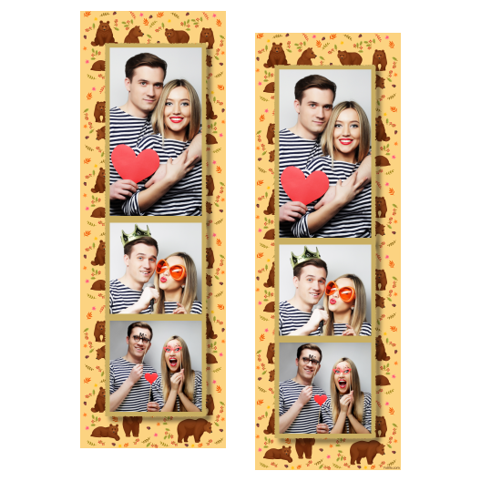 Grizli + niedźwiedzie + 107 złoty Grizli + niedźwiedzie + 107 złoty