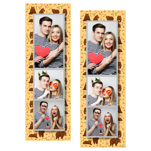 Grizli + niedźwiedzie + 107 Grizli + niedźwiedzie + 107