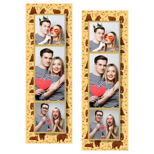 Grizli + niedźwiedzie + 108 złoty Grizli + niedźwiedzie + 108 złoty