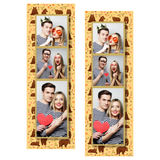 Grizli + niedźwiedzie + 109 złoty Grizli + niedźwiedzie + 109 złoty