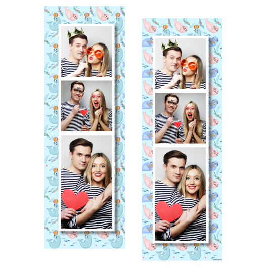 109-3-KKP-255-Seal_Day-249