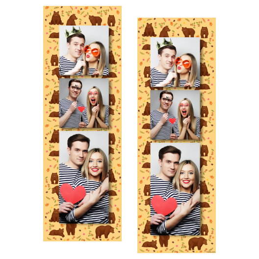 Grizli + niedźwiedzie + 109 brak ramki Grizli + niedźwiedzie + 109 brak ramki