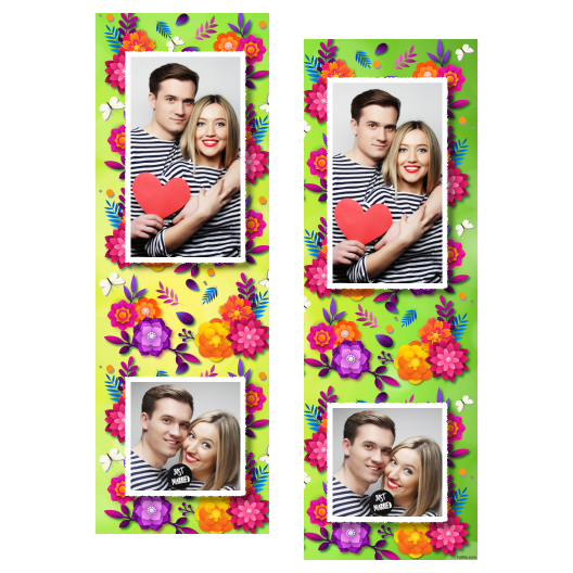 110-2-PK-255-Spring-069