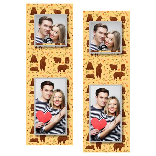 Grizli + niedźwiedzie + 111 Grizli + niedźwiedzie + 111