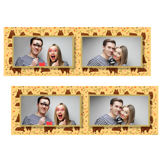 Grizli + niedźwiedzie + 201 złoty Grizli + niedźwiedzie + 201 złoty