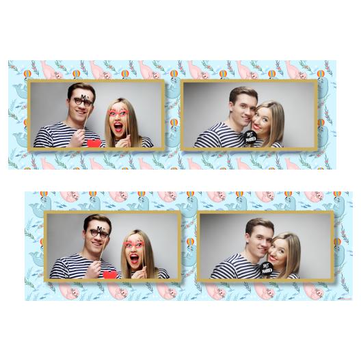 Seal Day + seals + 201 gold Seal Day + seals + 201 gold