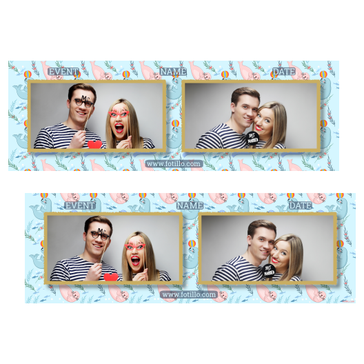 201-2-HH-146-Seal_Day-249T