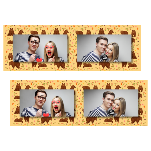 Grizli + niedźwiedzie + 201 brak ramki Grizli + niedźwiedzie + 201 brak ramki