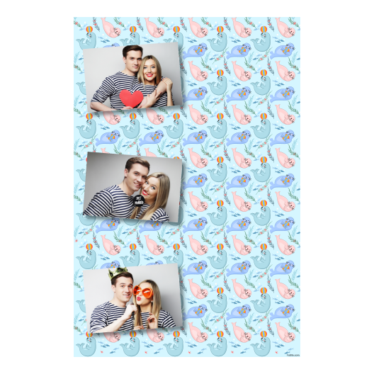 Seal Day + seals + 302 no frame Seal Day + seals + 302 no frame