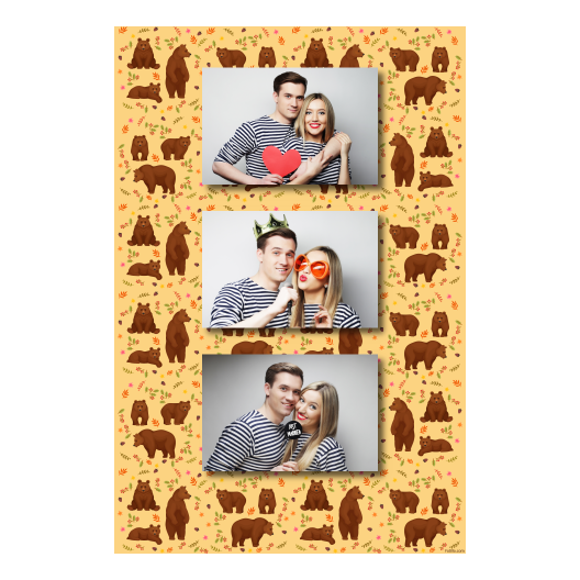 Grizli + niedźwiedzie + 306 brak ramki Grizli + niedźwiedzie + 306 brak ramki