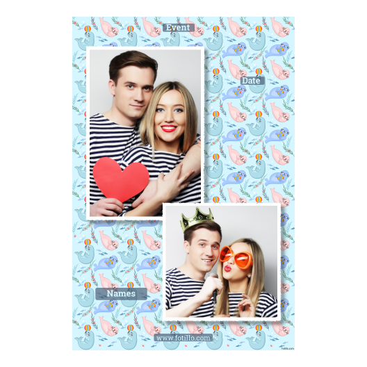 307-2-PK-255-Seal_Day-249T