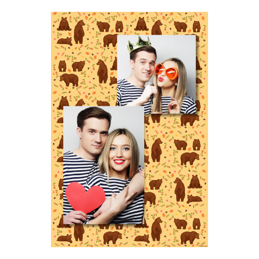 Grizli + niedźwiedzie + 308 brak ramki Grizli + niedźwiedzie + 308 brak ramki