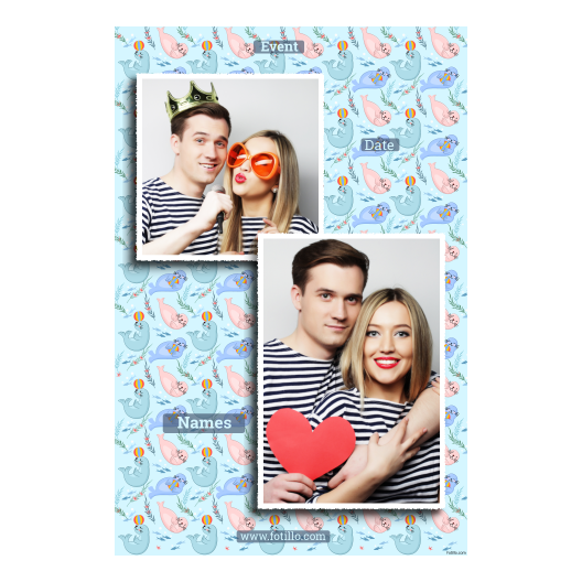 310-2-KP-255-Seal_Day-249T