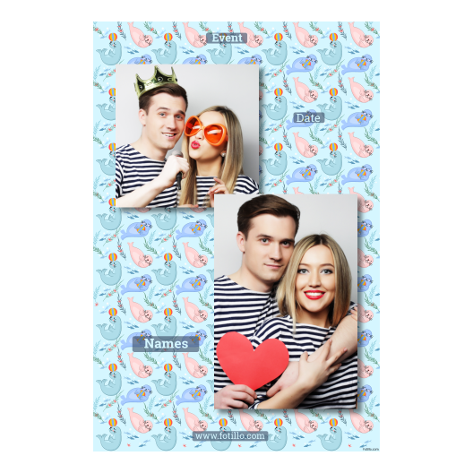 310-2-KP-BR-Seal_Day-249T