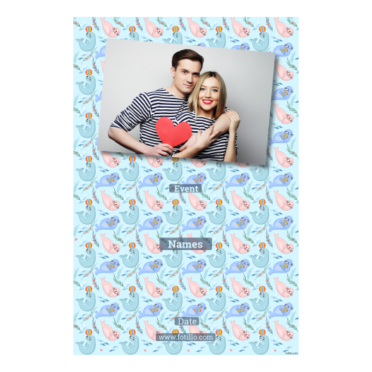 312-1-H-BR-Seal_Day-249T
