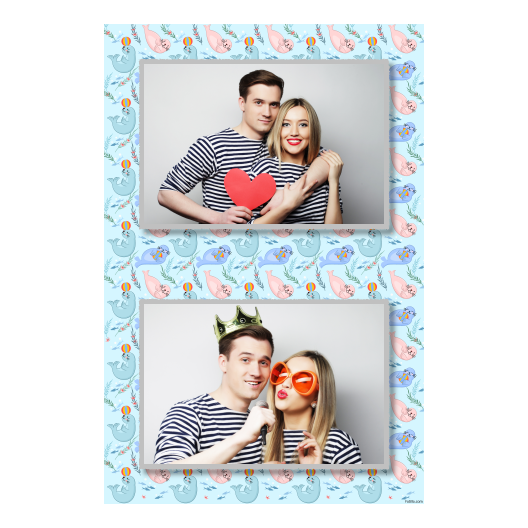 Seal Day + seals + 313 silver Seal Day + seals + 313 silver