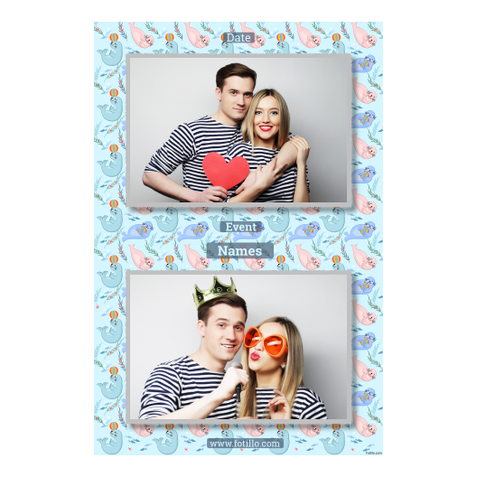 313-2-HH-191-Seal_Day-249T