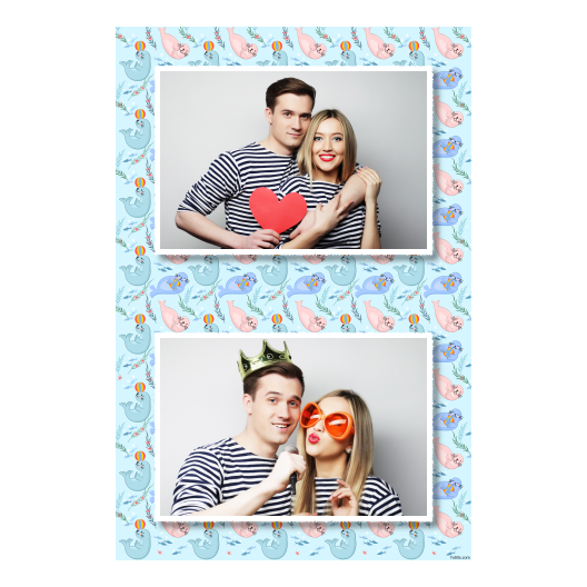 Seal Day + seals + 313 white Seal Day + seals + 313 white