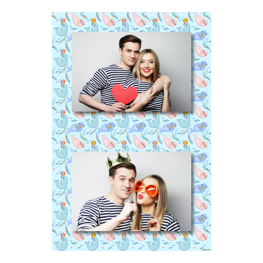 Seal Day + seals + 313 no frame Seal Day + seals + 313 no frame