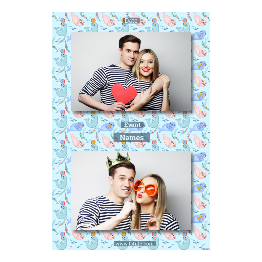 313-2-HH-BR-Seal_Day-249T