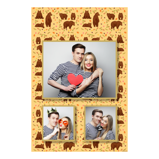 Grizli + niedźwiedzie + 316 złoty Grizli + niedźwiedzie + 316 złoty