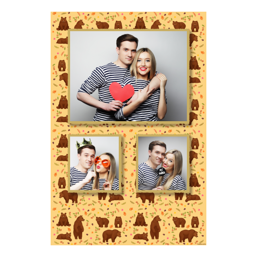 Grizli + niedźwiedzie + 317 złoty Grizli + niedźwiedzie + 317 złoty