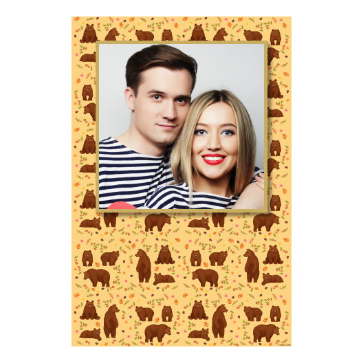 Grizli + niedźwiedzie + 324 złoty Grizli + niedźwiedzie + 324 złoty