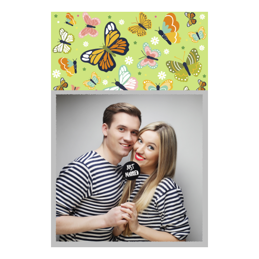 Butterfly Day + butterflies + 326 silver Butterfly Day + butterflies + 326 silver