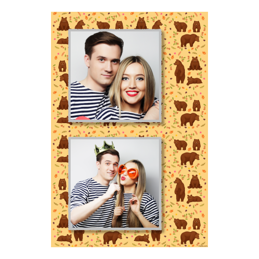 Grizli + niedźwiedzie + 328 Grizli + niedźwiedzie + 328