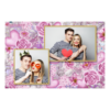 401-2-HK-146-Wedding_Background-222T