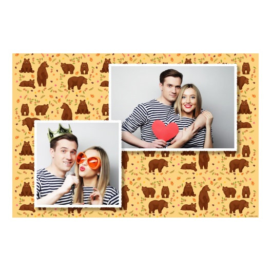 Grizli + niedźwiedzie + 401 biały Grizli + niedźwiedzie + 401 biały