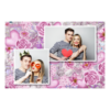 401-2-HK-255-Wedding_Background-222T