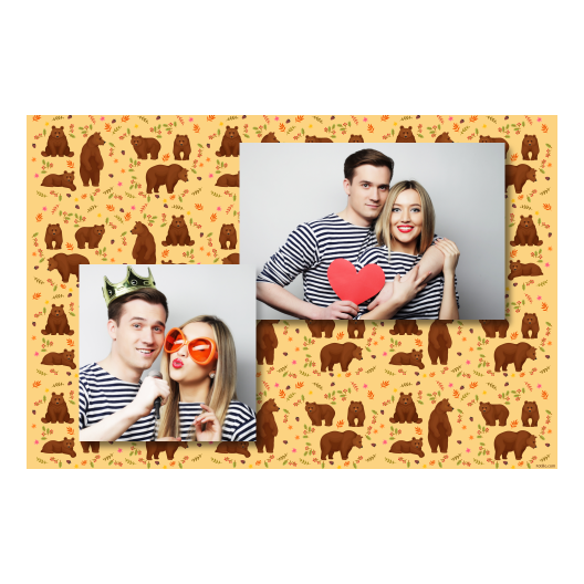 Grizli + niedźwiedzie + 401 brak ramki Grizli + niedźwiedzie + 401 brak ramki