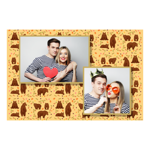 Grizli + niedźwiedzie + 402 złoty Grizli + niedźwiedzie + 402 złoty