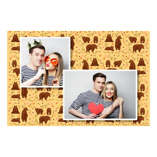 Grizli + niedźwiedzie + 403 biały Grizli + niedźwiedzie + 403 biały