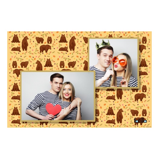 Grizli + niedźwiedzie + 404 złoty Grizli + niedźwiedzie + 404 złoty