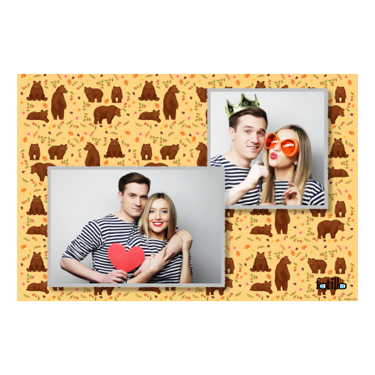 Grizli + niedźwiedzie + 404 Grizli + niedźwiedzie + 404