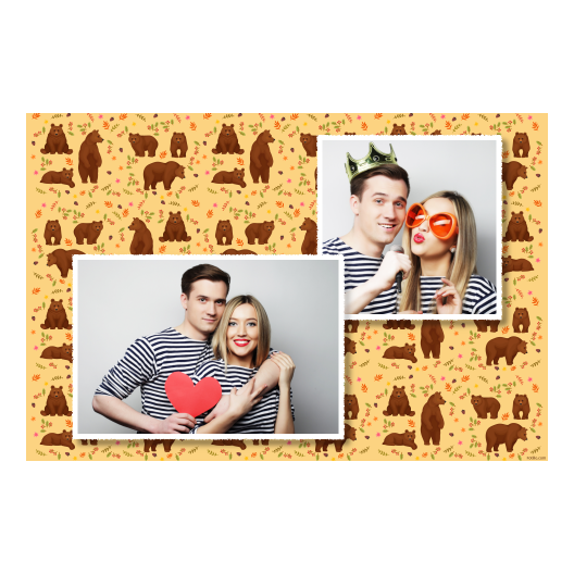 Grizli + niedźwiedzie + 404 biały Grizli + niedźwiedzie + 404 biały