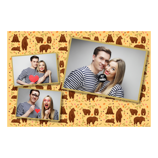 Grizli + niedźwiedzie + 406 złoty Grizli + niedźwiedzie + 406 złoty