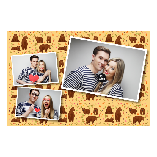 Grizli + niedźwiedzie + 406 biały Grizli + niedźwiedzie + 406 biały