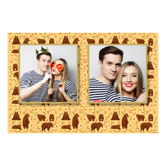 Grizli + niedźwiedzie + 407 złoty Grizli + niedźwiedzie + 407 złoty