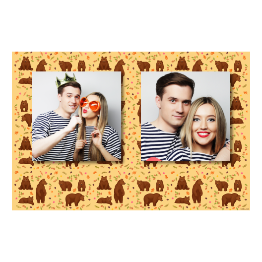 Grizli + niedźwiedzie + 407 brak ramki Grizli + niedźwiedzie + 407 brak ramki